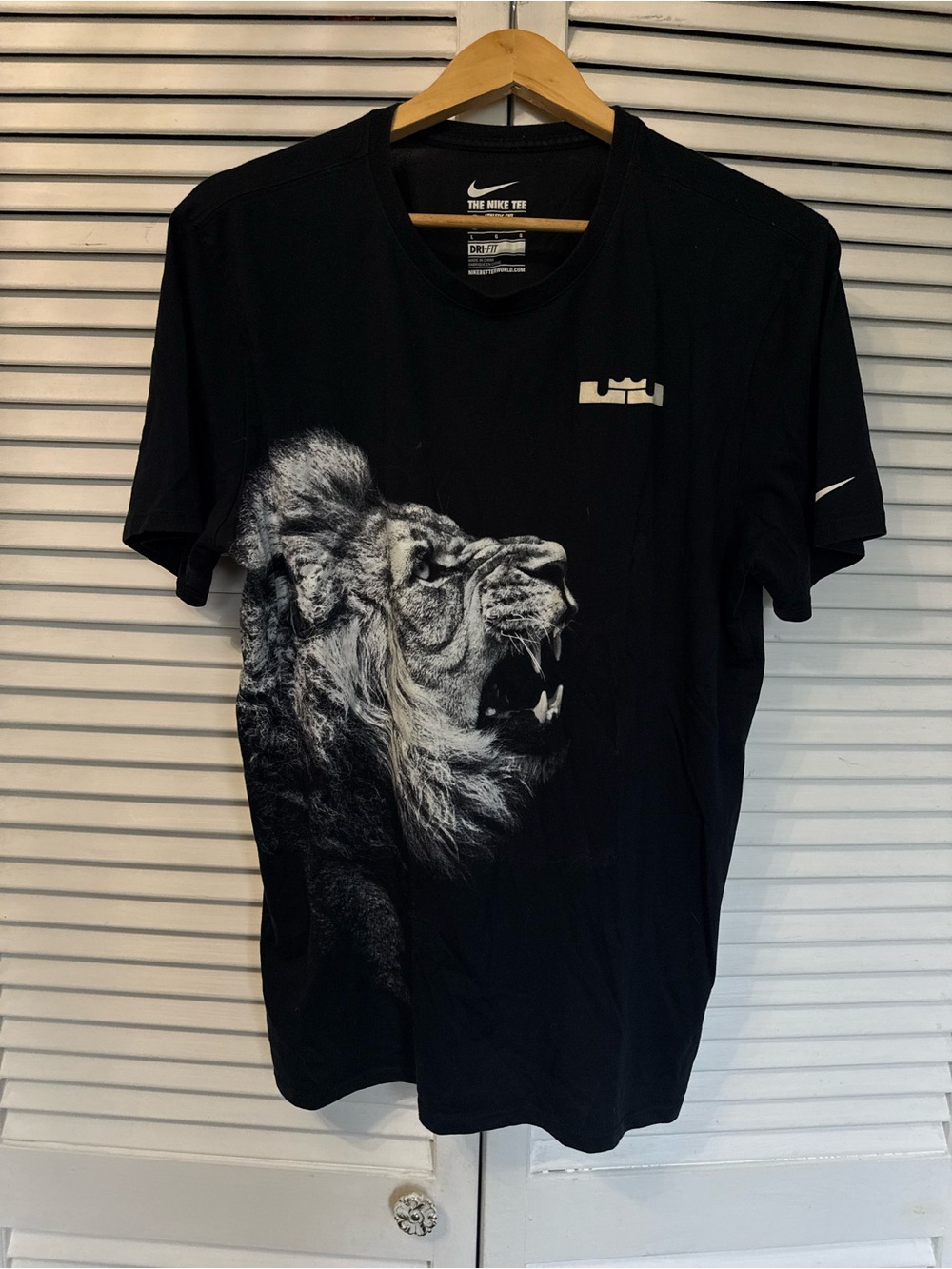 Nike LeBron James Men's Black Lion Graphic Dri-FIT T-Shirt